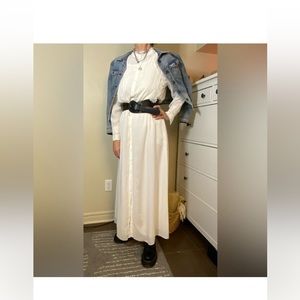 NWOT ZARA Limited Edition Maxi Dress Size L